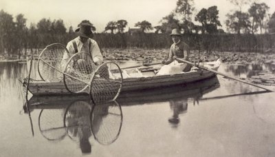 Das Setzen des Bogennetzes, Leben und Landschaft auf den Norfolk Broads; um 1886 von Peter Emerson und Thomas Goodall